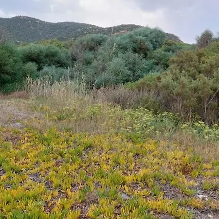 Casa Rosa Mari Pintau