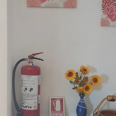 Casa Rosa Mari Pintau Geremeas