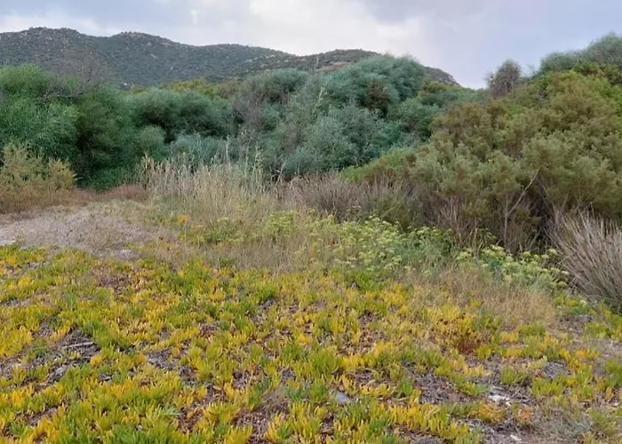 Casa Rosa Mari Pintau